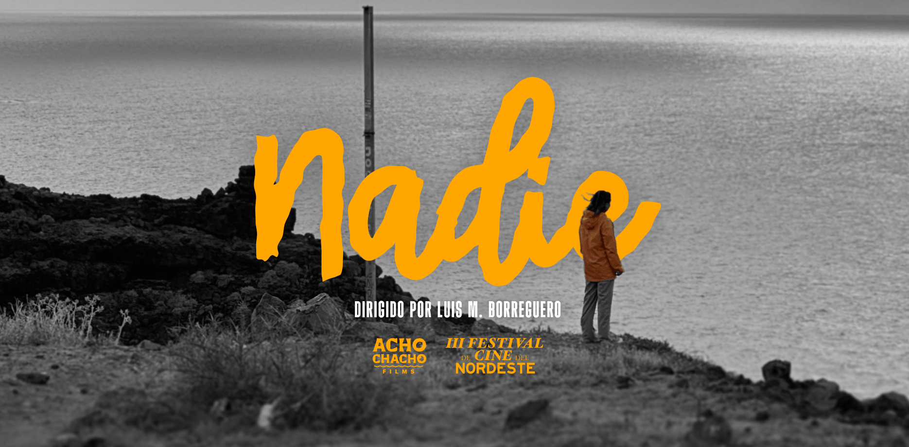 Poster de Nadie